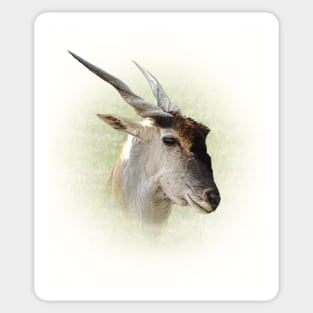 Eland antelope Sticker